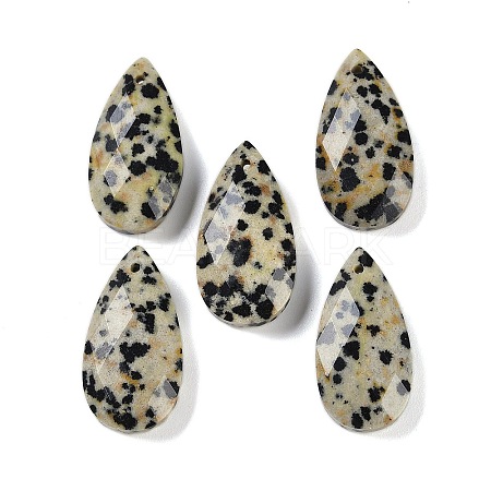 Natural Dalmatian Jasper Pendants G-C140-05K-1