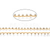 Plated Seed Beads Cords OCOR-R039-J03-4