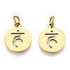 304 Stainless Steel Charms STAS-Q201-T446G-01-2