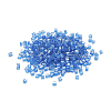 6/0 Glass Seed Beads SEED-YW0001-25I-2