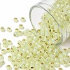 TOHO Round Seed Beads X-SEED-TR08-PF2109-1