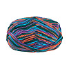 Light Gradient Segment Dyed Polyester Yarn DIY-TADJ0002-005D-1