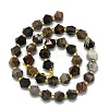 Natural Petrified Wood Beads Strands LS-G-I376-A30-01-2