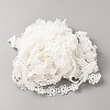 Polyester Lace Ribbon OCOR-WH0111-138E-2