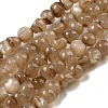 Natural White Shell Dyed Beads Strands BSHE-Z005-03A-1