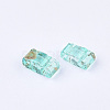 2-Hole Transparent Glass Seed Beads SEED-S023-30B-21-2