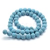 Synthetic Turquoise Beads Strands G-P387-01-10mm-2