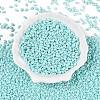 Baking Paint Glass Seed Beads SEED-T006-03G-1