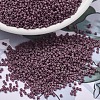 MIYUKI Delica Beads X-SEED-J020-DB2295-1