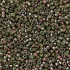 MIYUKI Delica Beads X-SEED-J020-DB0133-3