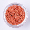 Baking Paint Cylinder Seed Beads SEED-Q036-02A-D13-2