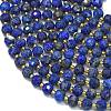 Dyed Natural Lapis Lazuli Beads Strands G-K389-E63-01-3
