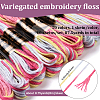 10 Skeins 6-Ply Polyester Embroidery Floss OCOR-CY0002-99H-2