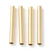 Brass Tube Beads KK-Y003-73I-G-1