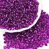 6/0 Baking Paint Transparent Fringe Glass Seed Beads SEED-N006-06H-1