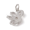Brass Micro Pave Cubic Zirconia Charms ZIRC-F132-09P-2