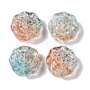 Painted Glass Beads GLAA-S202-14-2
