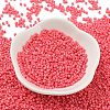 Baking Paint Glass Seed Beads SEED-S042-05B-87-2