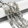 Natural Eagle Eye Stone Beads Strands G-P497-01C-14-2