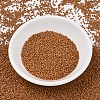 MIYUKI Delica Beads SEED-X0054-DB2287-2