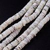 Natural Trochid Shell/Trochus Shell Beads Strands SHEL-P015-11-4