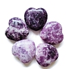 Natural Lepidolite Display Decorations PW-WG37563-09-1