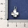 925 Sterling Silver Pendants STER-P057-03S-3