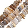 Natural Grey Agate Beads Strands G-A302-A02-01-2