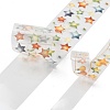 Festival Series Waterproof PET Decorative Stickers DIY-Q052-01B-3