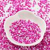 Baking Paint Glass Seed Beads X-SEED-S042-05B-47-2