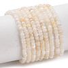 Natural Freshwater Shell Beads Strands SHEL-P017-01A-02-1