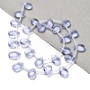 K9 Glass Beads Strands GLAA-Q102-01G-2