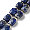 Natural Lapis Lazuli Beads Strands G-H061-A07-01-1