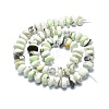 Natural American Turquoise(Jasper) Beads Strands G-F715-066-2