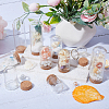 SUNNYCLUE 12Pcs 3 Styles Glass Dome Cloche Cover AJEW-SC0001-56-4