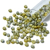 6/0 Opaque Glass Seed Beads SEED-YW0002-13B-2