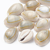 Cowrie Shell Beads SSHEL-T004-04-1