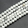Frosted Howlite Round Bead Strands G-M064-14mm-12-1