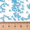 TOHO Round Seed Beads SEED-JPTR08-0163-4
