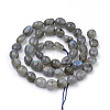 Natural Labradorite Beads Strands G-Q952-12-6x8-2