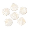 Natural Freshwater Shell Pendants X-SHEL-F007-20-1