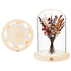 Glass Dome Cover AJEW-WH0752-088A-1