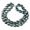 Electroplated Natural Lava Rock Beads Strands G-K388-01H-1