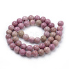 Natural Rhodonite Beads Strands X-G-S259-08-6mm-2