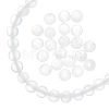 1 Strand Natural Selenite Beads Strands G-AR0005-51-2