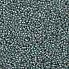 TOHO Round Seed Beads X-SEED-TR11-1851-2