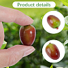 Foam Chinese Olive Display Decoration DJEW-GF0001-90A-6
