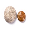 Natural Fossil Coral Cabochons G-M379-21-2