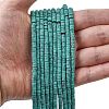 Dyed Synthetic Turquoise Beads Strands G-Z089-A04-O-1