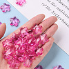 Transparent Acrylic Beads TACR-S154-32B-82-5